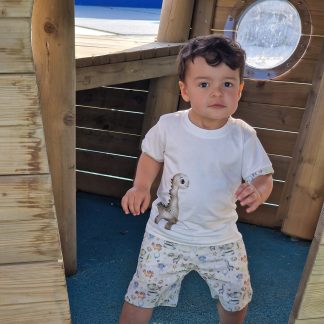 Conjunto «DINOSSAUROS»