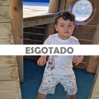 Conjunto «DINOSSAUROS»